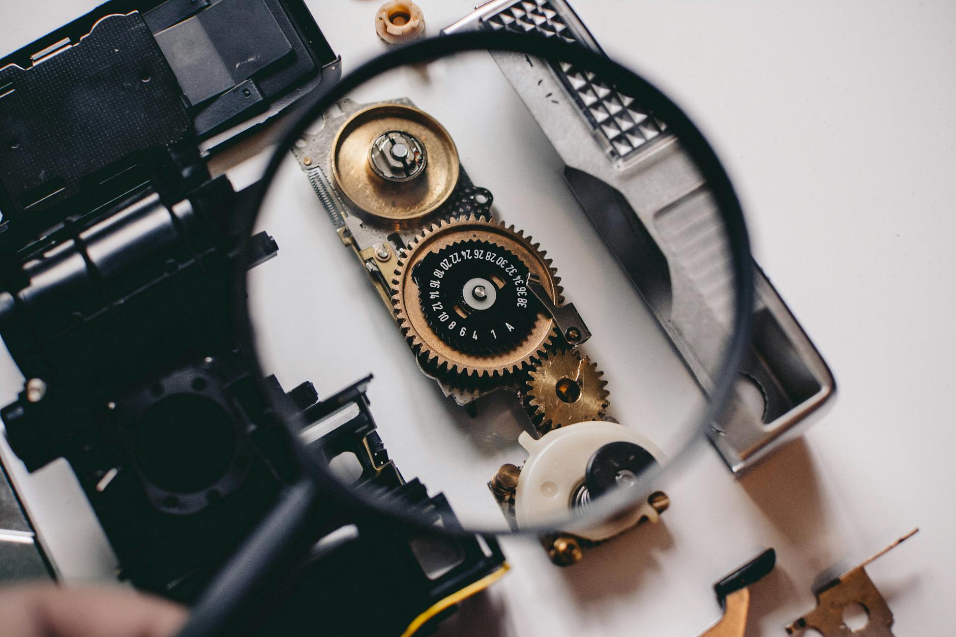 Employability in the Era of Automation
